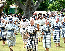 祝い種子取